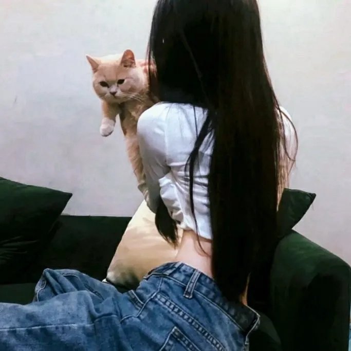 雾中之犬
